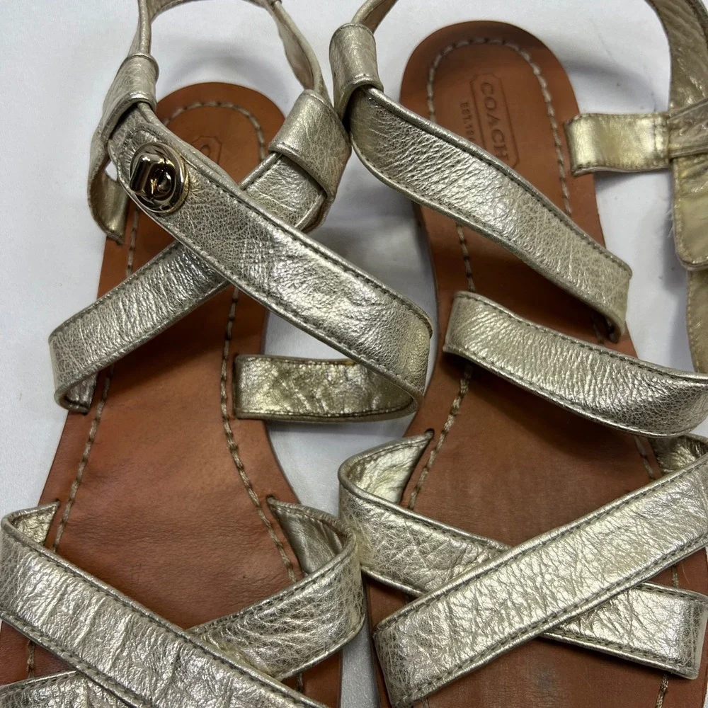 Coach 11643 keywords